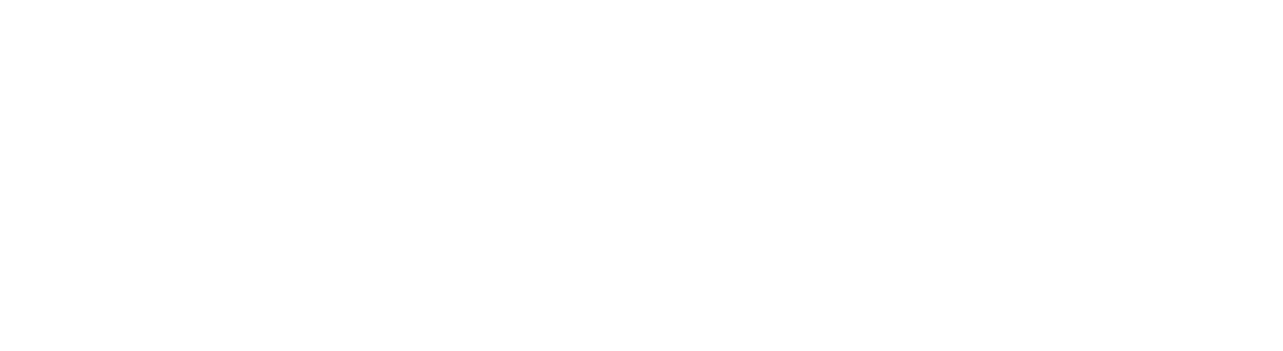 Shree Naina Glass Inc